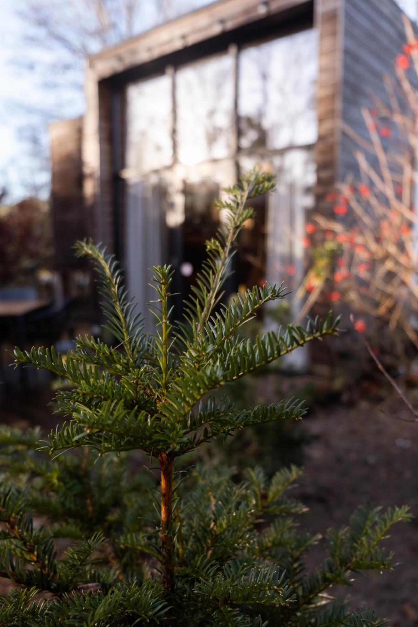 Tiny House Mayu - Veluwe Airco 4 Persons *